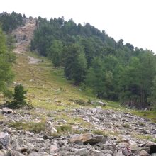 stok osypiskowy alpy